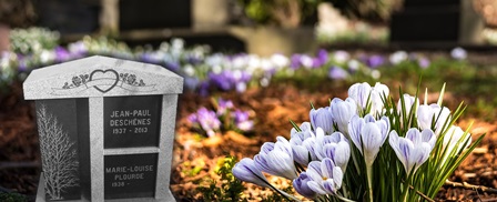 Edito du 3 novembre 2024